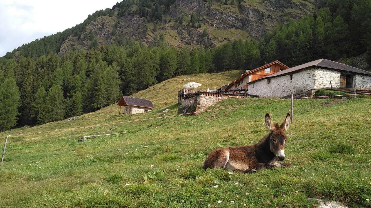 فيلا Nestalp Malga Campo بيو المظهر الخارجي الصورة