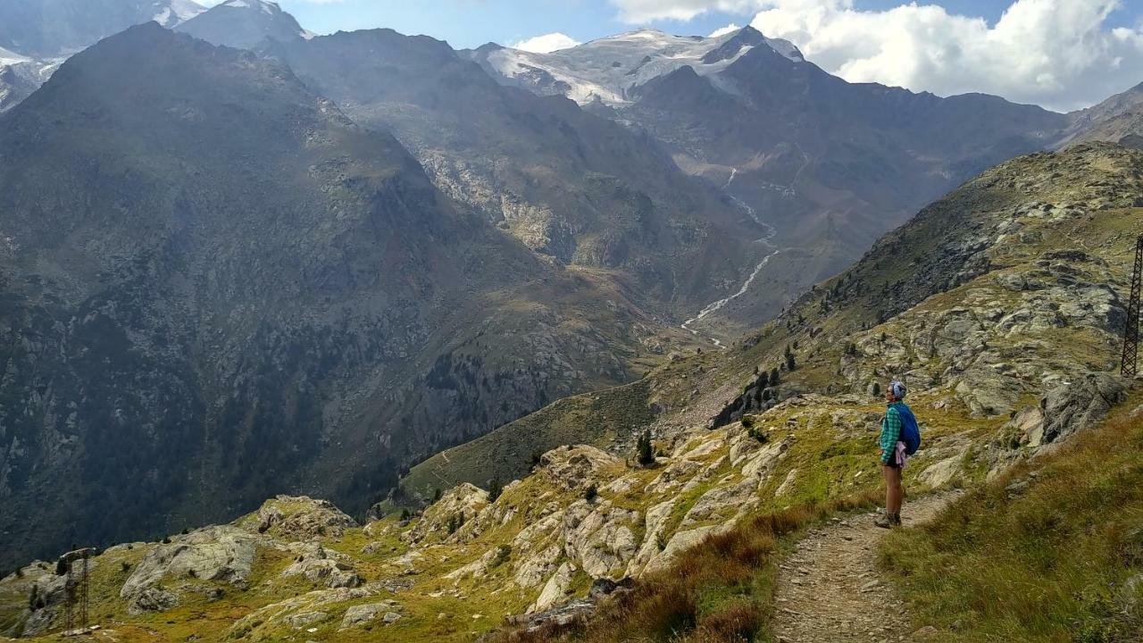 فيلا Nestalp Malga Campo بيو المظهر الخارجي الصورة