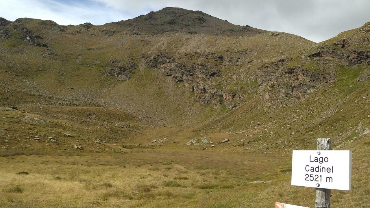 فيلا Nestalp Malga Campo بيو المظهر الخارجي الصورة